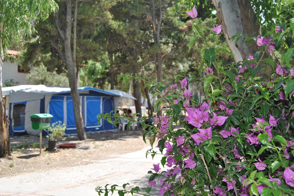 Camping B&B Gioiosa ジョイオーザ・マレーア エクステリア 写真